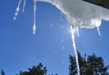 Теплый африканский воздух идет на Украину: март стартует солнечно и сухо