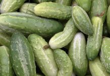 Огурцы по цене авокадо: почему дорожают овощи закрытого грунта