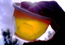 Мед может подорожать на 30%: сладкому продукту грозит дефицит