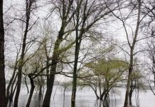 С потеплением в Украине начинаются паводки: какие области под угрозой – Госводагентство