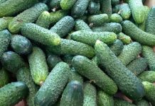 Цены взлетели по самые помидоры: огурцы и томаты остаются лидерами роста на прилавках