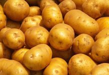 Россия стала третьей по дешевизне картошки в G-20: считать ли это достижением