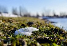 Весна усиливается: синоптическая картина порадует украинцев в ближайшие дни