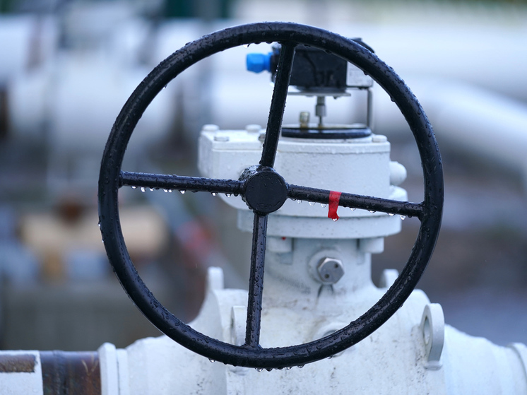 Болгария захотела заработать на российском газе, нагревая соседей