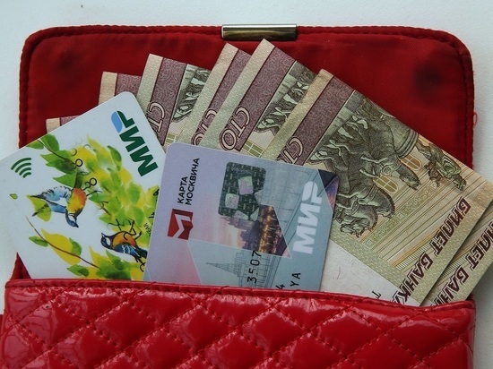 Экономист оценил перспективы отказа ряда стран от карты &laquo;Мир&raquo;