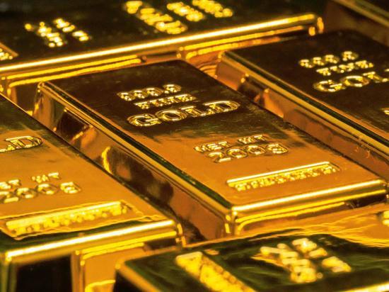 Эксперты рассказали, насколько опасен отказ стран G7 от российского драгметалла