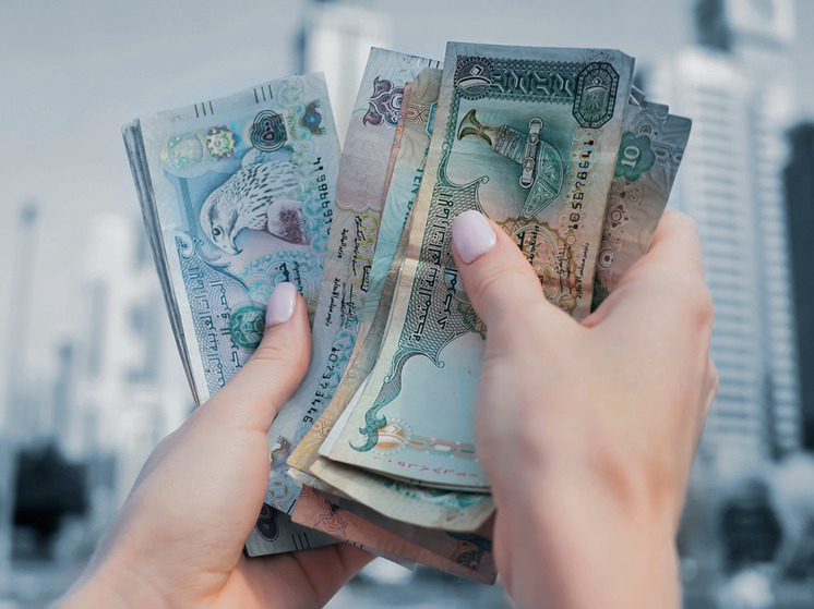 Финансовый аналитик Дроздов рассказал, стоит ли россиянам запасаться дирхамами