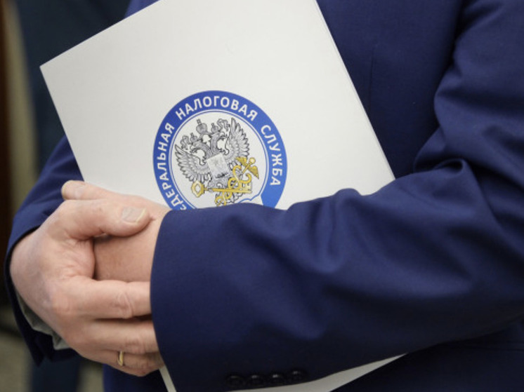 ФНС проследит за самозанятыми: за слишком хороший доход придется ответить