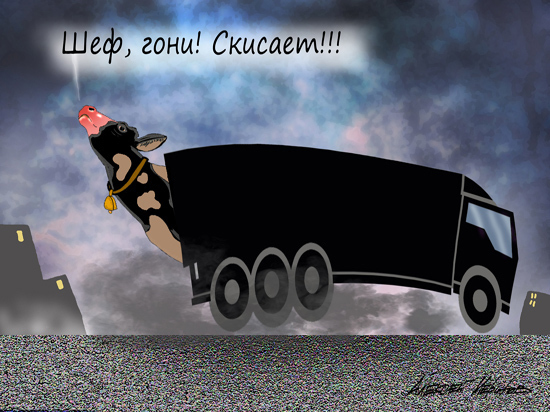 Фурам из Европы разрешат въезжать в Россию: на что отменит запреты