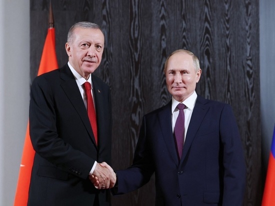 Политолог объяснил просьбу Турции об отсрочке платежей за российский газ