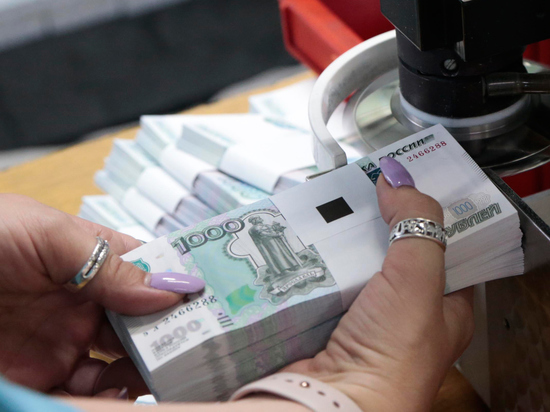 Правительство нашло способ спасти бюджет РФ: бизнес готовится к добровольным взносам