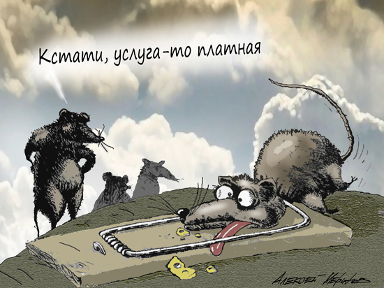 Россияне бьют рекорды по долгам за ЖКХ: как сэкономить на коммуналке