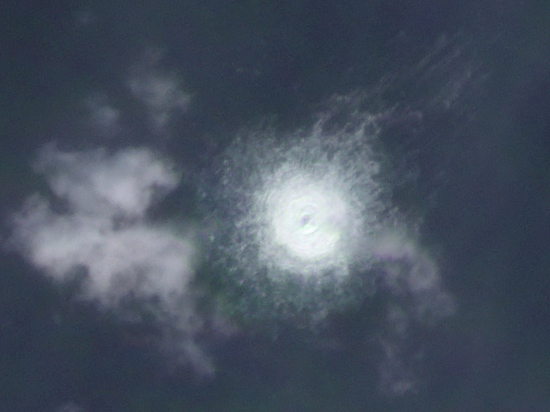 Тонны оглушенной лососи: экологи оценили последствия взрывов &laquo;Северных потоков&raquo;