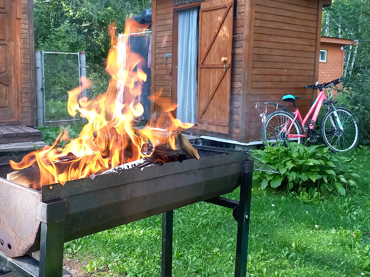 Выяснилось, на сколько процентов за год подорожала подмосковная земля